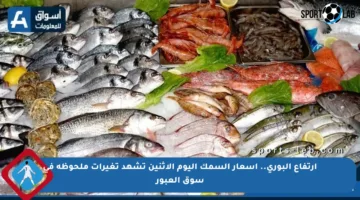 ارتفاع البوري.. أسعار السمك اليوم الإثنين تشهد تغيرات ملحوظة في سوق العبور